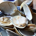 料理メニュー写真&nbsp;はまぐり酒蒸し 小
