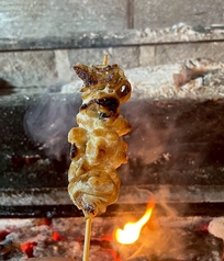 白トロ（テッポー）