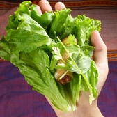 生野菜で巻こう【3】・・・お好みで香草をのせます