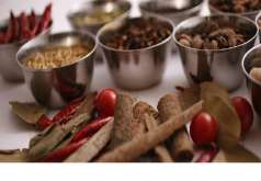 かなぴな の特集写真