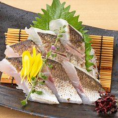 かます 焼霜造り