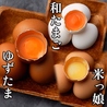 殻YABURI 武蔵小杉店のおすすめポイント3