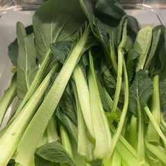 チンゲン菜