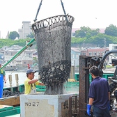 三浦三崎漁港から買参権を持ち、毎日市場から新鮮な鮮魚を仕入ています。