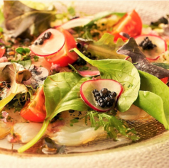 エノテカ ガルビーノの特集写真