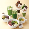 nanas green tea ナナズグリーンティ シャポー市川店の写真