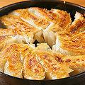 料理メニュー写真&nbsp;鉄鍋餃子