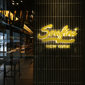 Serafina NEW YORK セラフィーナ ニューヨーク 赤坂店の雰囲気3