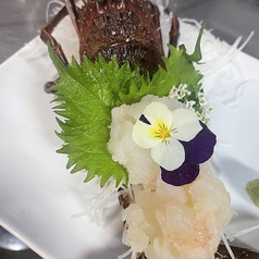 活イセエビのお刺身