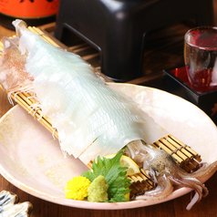 剣先イカの姿造り