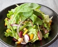 料理メニュー写真 豆と彩り野菜のサラダ