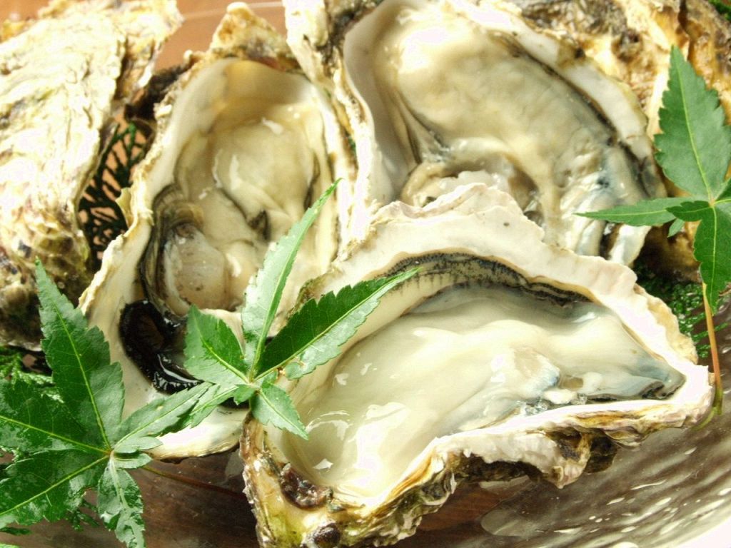 広島名物!!冬の味覚牡蠣!!