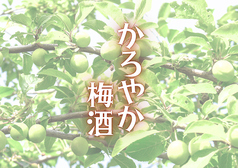 かろやか梅酒