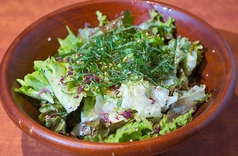 梅しらすサラダ