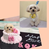 Cafe Merry カフェ メリーのおすすめ料理3