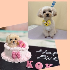 【◆愛犬と一緒にお祝い◆】安心素材で仕上げた特製ワンちゃん用バースデーケーキの写真