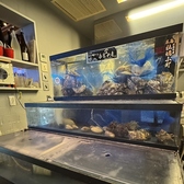 【いけす完備の新鮮な海鮮】当店はいけすを店内においており、当店自慢の海鮮を鮮度抜群の状態でご提供いたします！