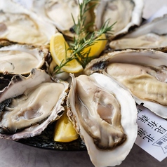 ”本日の旬”生牡蠣－Today's Oyster-