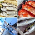 ＜旬の旨い魚をご提供＞旨い魚を求めて伊豆七島や千葉、茨城まで店主自ら釣りに行っています。釣り立てそのままの新鮮な旬の魚を是非ご堪能ください！釣果はTwitterやInstagram又はお電話でご確認ください。https://mobile.twitter.com/torichuu_