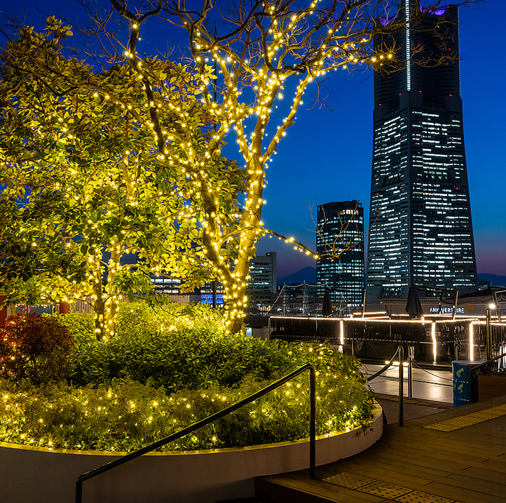 電飾やライトアップされた観覧車♪カジュアルエリアではキラキラな夜を満喫できるのでオススメです◎