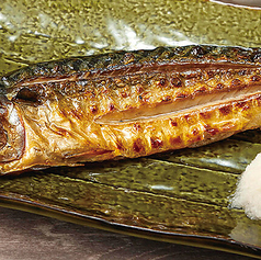 さばの一夜干し