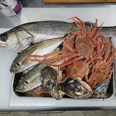 鳥取県「境港」の鮮魚を直送