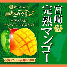 宮崎完熟マンゴー