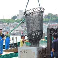 鮮度抜群の鮮魚！