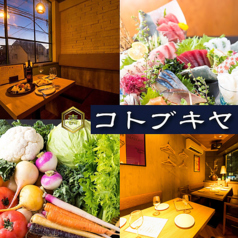 コトブキヤ 溝の口店の特集写真