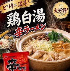 鶏白湯辛ラーメン