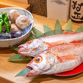 個室居酒屋　芭覇 バッハ　岐阜駅・玉宮店の写真