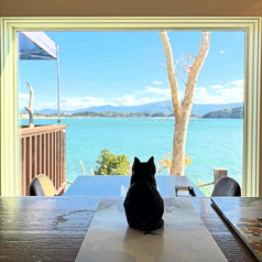 HACHIDORI ハチドリのおすすめポイント1