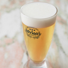 オリオンビール(生)