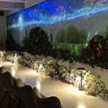 FLOWER WALL MONE フラワーウォールモネの雰囲気1