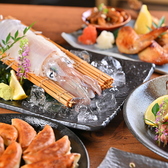 【北国の海鮮を贅沢に♪】鮮度自慢の魚介を完全個室でゆったり満喫!