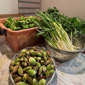 山菜にこだわる当店。ベジタリアンメニューもご用意あります◎