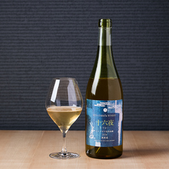 十六夜　ナイアガラ　2024