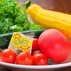 地元で育った金沢の旬野菜を生産者から直接仕入れ!