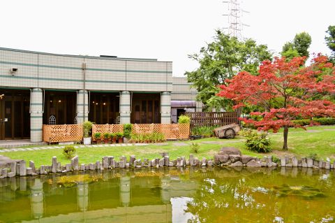 ティールーム 紫音 荒子川公園ガーデンプラザ 名古屋市港区 カフェ スイーツ ホットペッパーグルメ