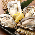 料理メニュー写真 産地直送 生牡蠣 （1個）