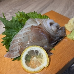 ヤリイカ