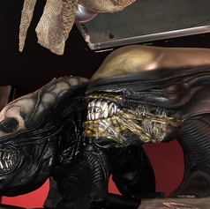 エンターザドラゴンの雰囲気2