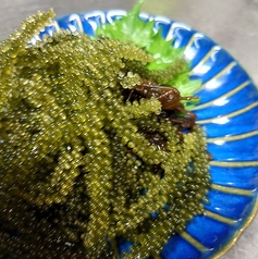 海ぶどう