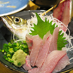 【活魚】各種