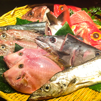 全国各地から直送の新鮮な魚介類をご堪能ください。