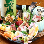 菜菜魚魚の写真