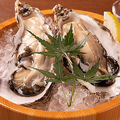 新鮮生牡蠣の風呂桶盛り(2個)