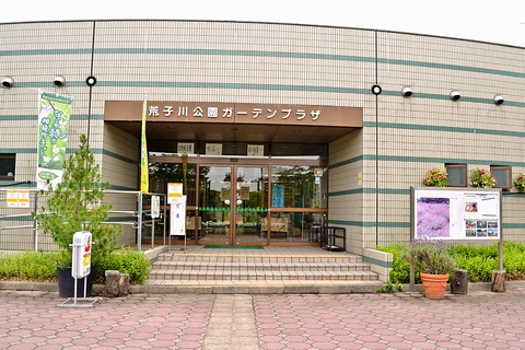 ティールーム 紫音 荒子川公園ガーデンプラザ