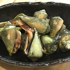 チャンバラ貝