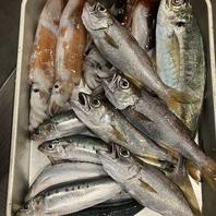 湘南・新鮮な地魚をご提供♪